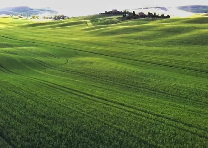 Terisuite 14 Σιένα